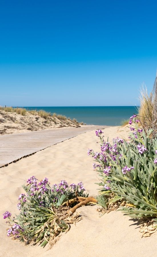 mobil home xxl nouvelle aquitaine